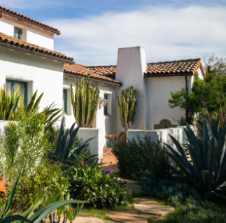 grass tree rebate