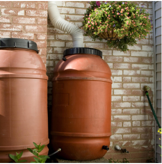 rain barrels