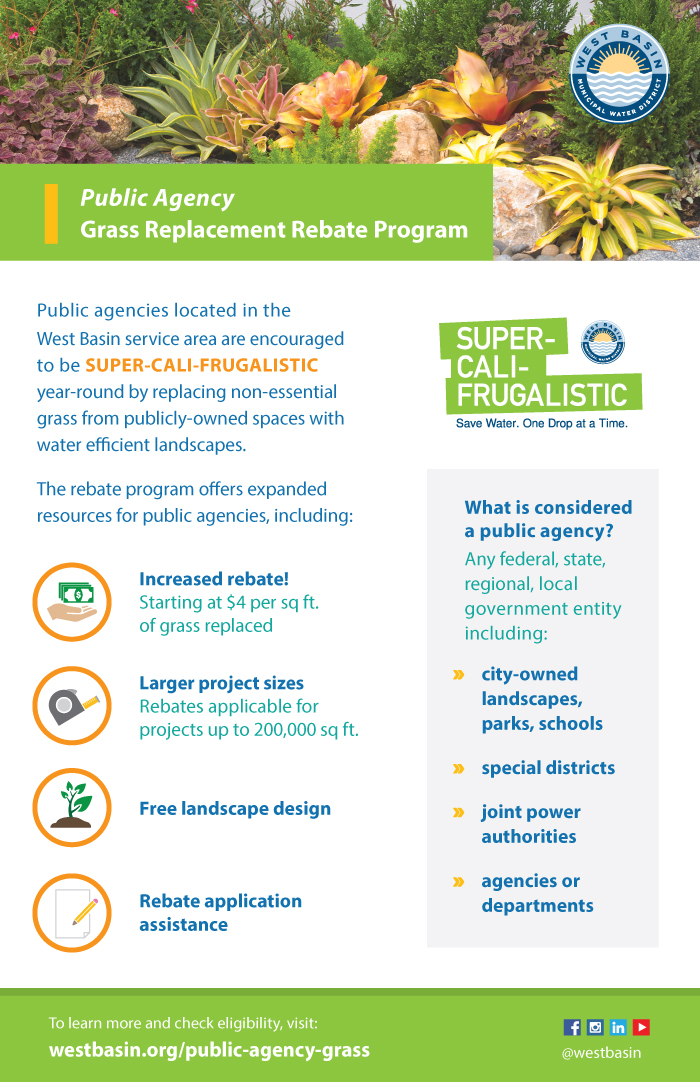 01-16-24 Grass Replacement Flyer - Public Agency Front