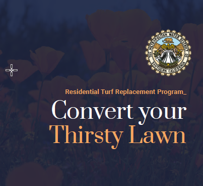 Convert Thirsty Lawn