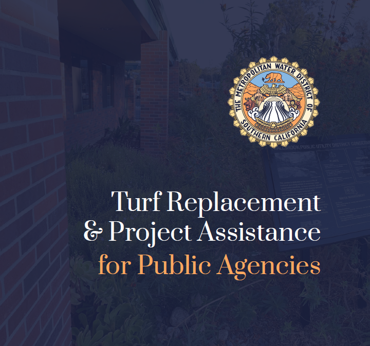 Turf Replacement Assitance