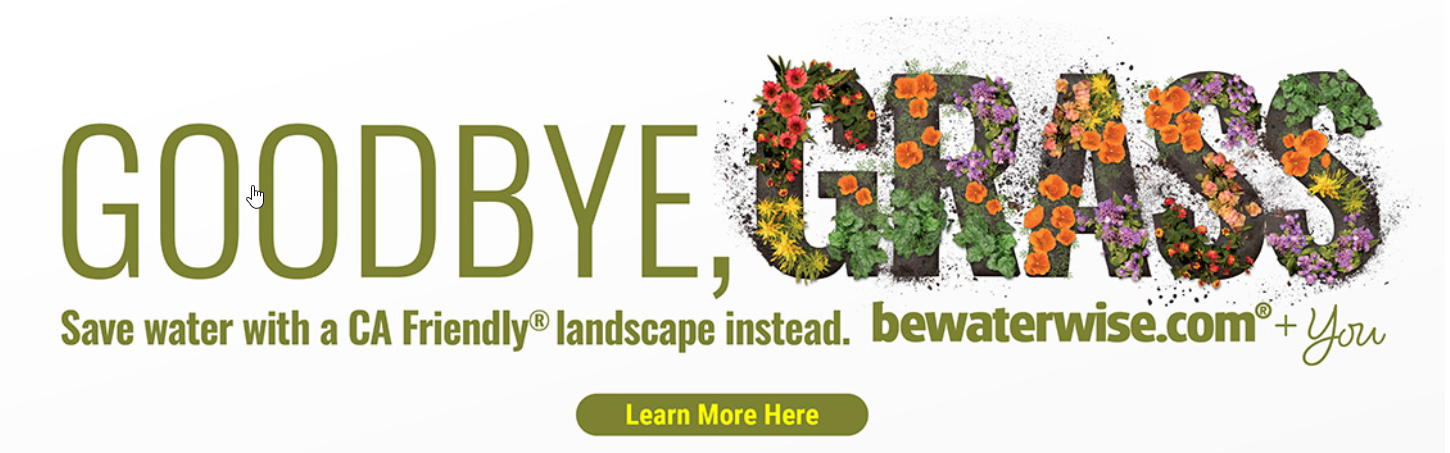 Goodbye Grass