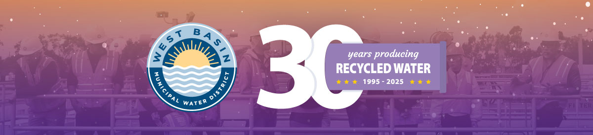 04-10-25 30th Anniversary Website Header
