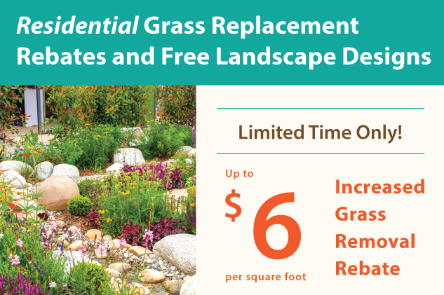 Apply for Up To $6 Grass Replacement Rebates and Free Landscape Designs